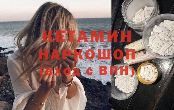 гидра Новодвинск