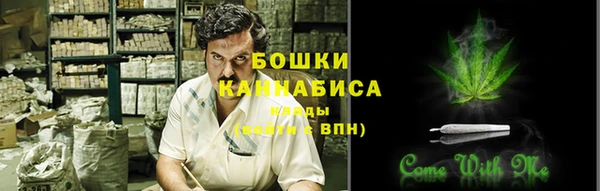 гидра Новодвинск