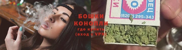 тгк Новозыбков
