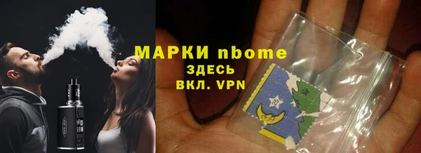 гидра Новодвинск