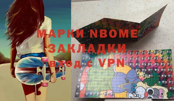 гидра Новодвинск