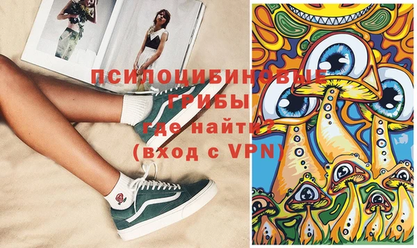 тгк Новозыбков