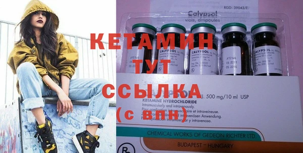 гидра Новодвинск