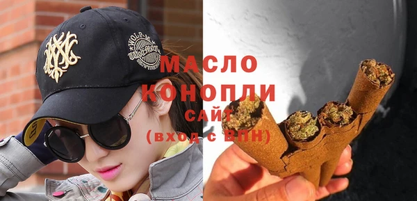 гидра Новодвинск