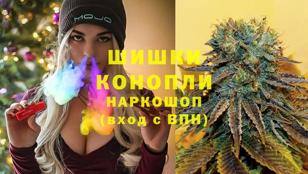 гидра Новодвинск