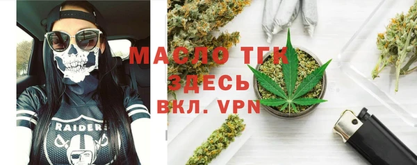 тгк Новозыбков