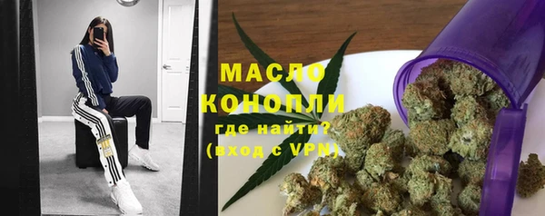 тгк Новозыбков