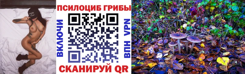 ссылка на мегу ONION  хочу наркоту  Остров  Галлюциногенные грибы Psilocybe 